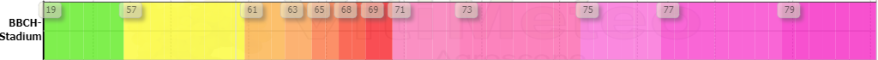 1733749444205-928.png
