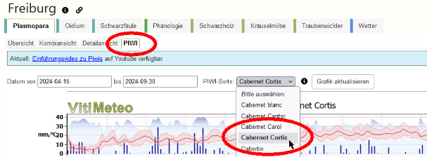 Auswahl Piwi-Sorte