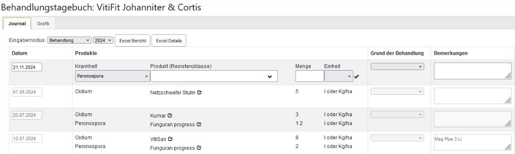 Darstellung Behandlungstagebuch