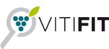 VitiFit-Logo