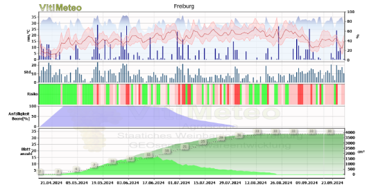 Screenshot Kombigrafik