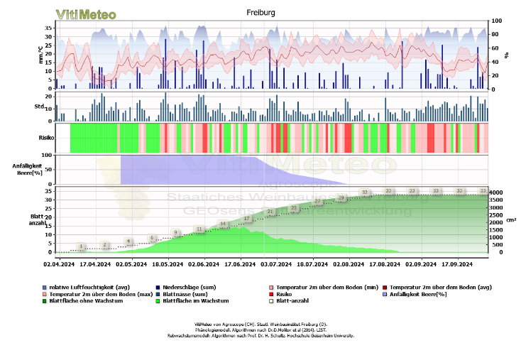 VitiMeteo-Grafik Beerenanfälligkeit